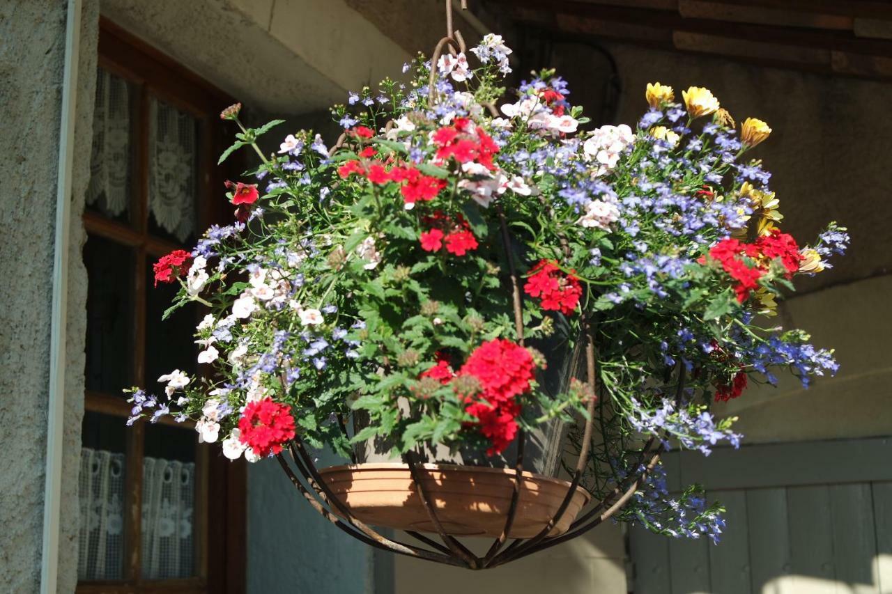 Bed & Breakfast Mas Grimaud - Gite- Et D'hotes Familiales