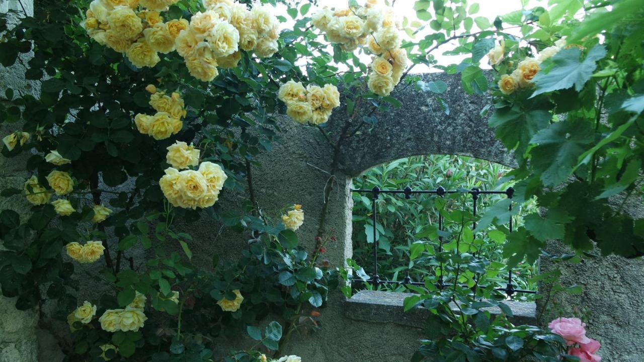 Mas Grimaud - Gite- Et D'hotes Familiales Bed & Breakfast Eygalières