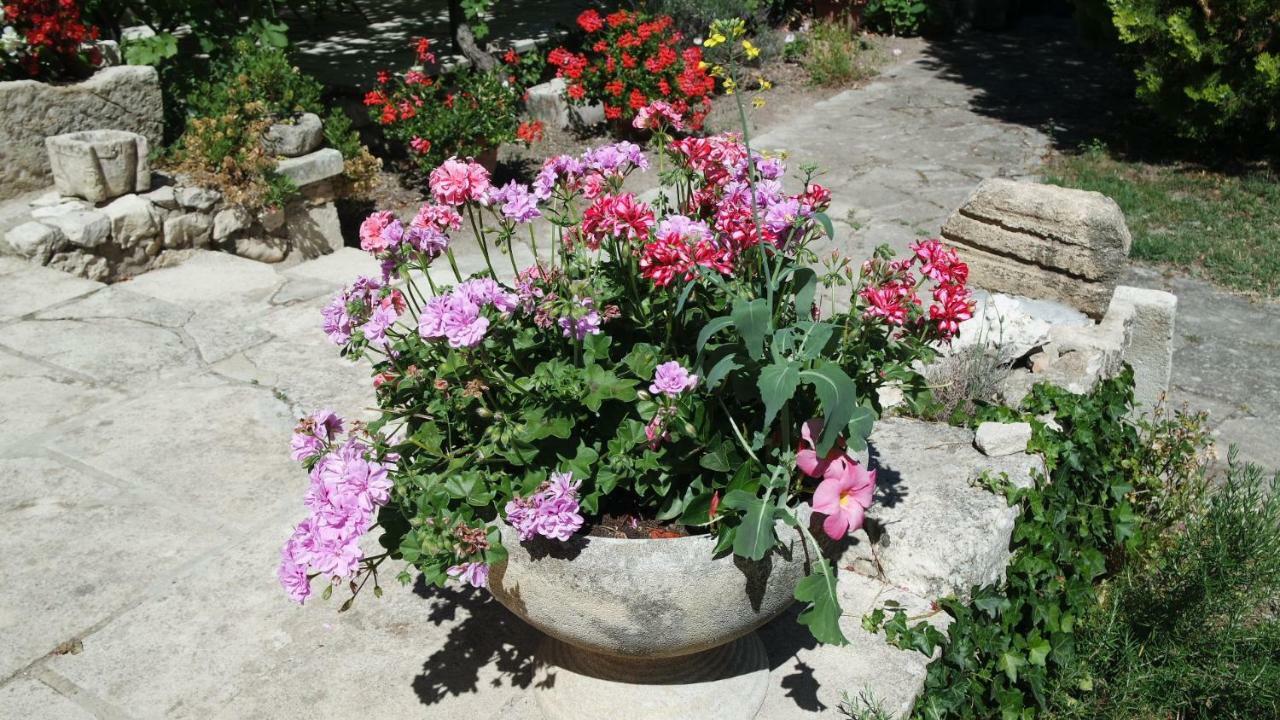 Bed & Breakfast Mas Grimaud - Gite- Et D'hotes Familiales *