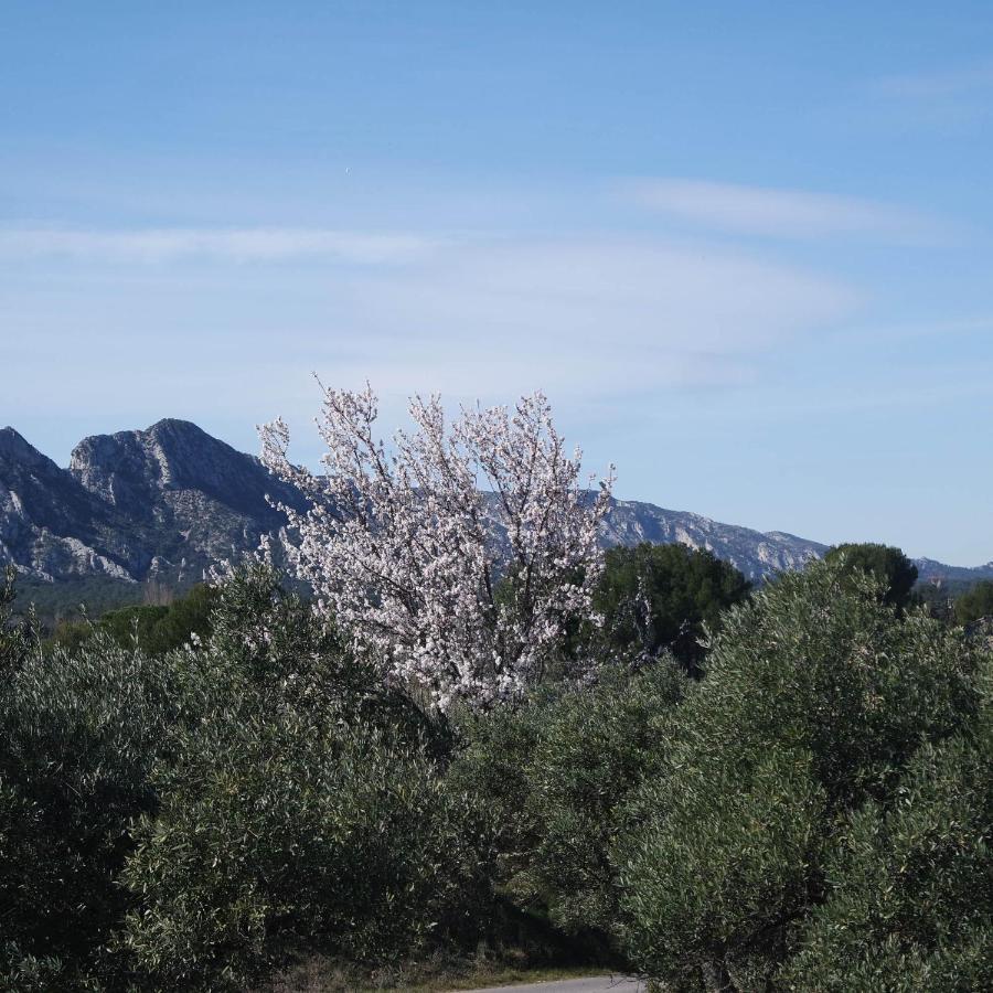 Bed & Breakfast Mas Grimaud - Gite- Et D'hotes Familiales Eygalières
